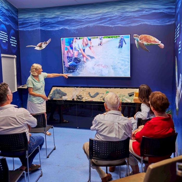 Cairns Aquarium General Admission & Turtle Tour
