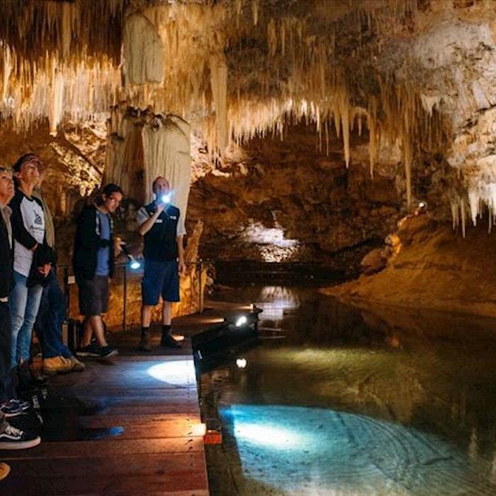 Capes Foundation Lake Cave Fully Guided Tour