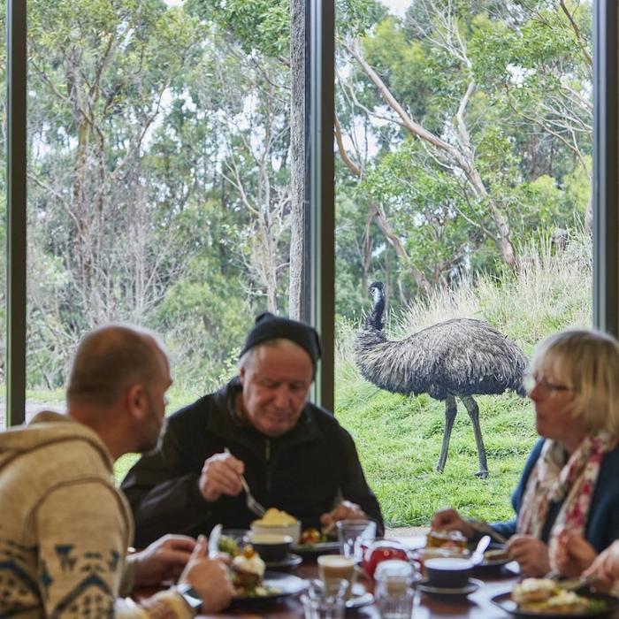 Wildlife Wonders Walk with Wildlife - Guided Tour
