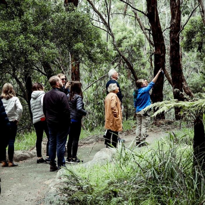 Wildlife Wonders Dusk Discovery Tour