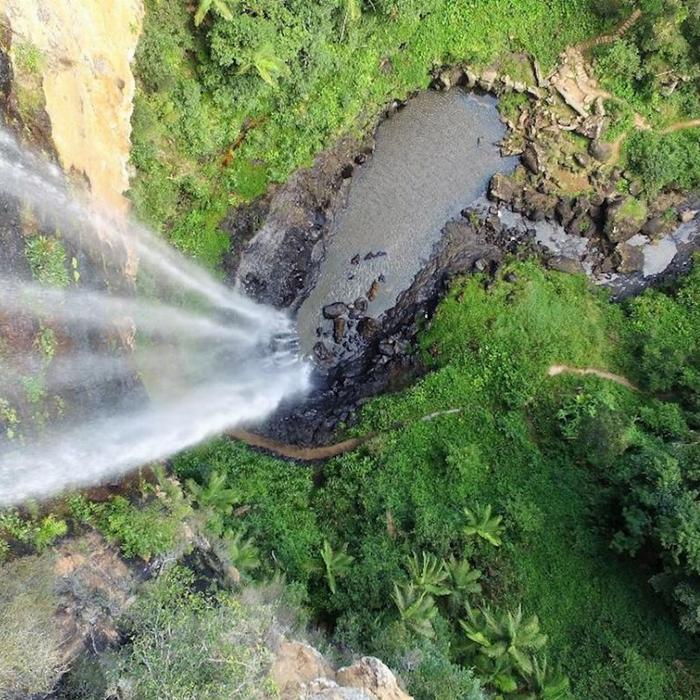Southern Cross Tours UNESCO Springbrook NP, Waterfalls & Natural Bridge