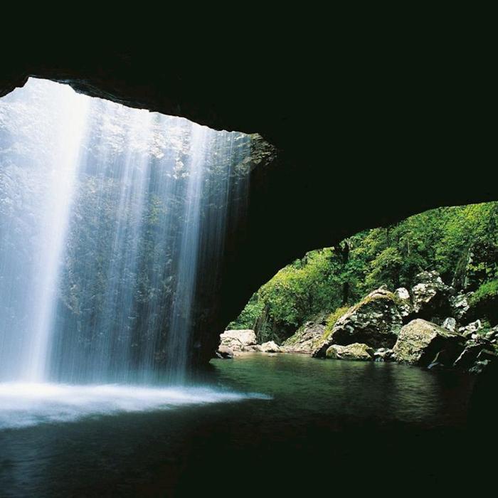 Southern Cross Tours UNESCO Springbrook NP, Waterfalls & Natural Bridge