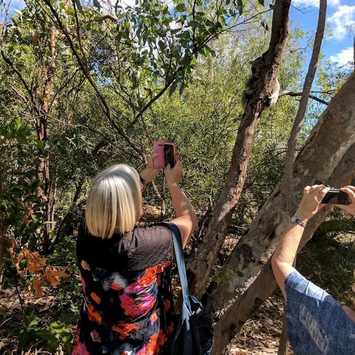 Magnetic Island’s Best Bus Tours Guided Bus Tour of Magnetic Island