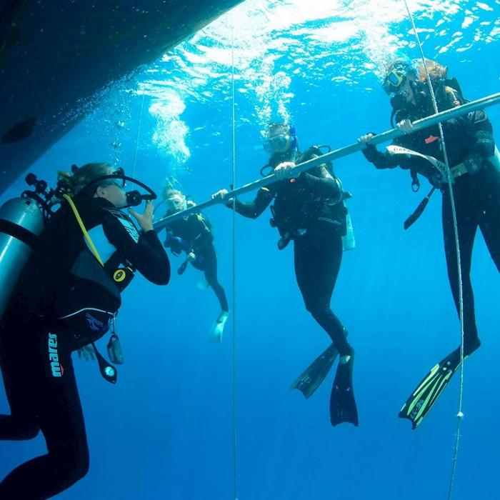 Divers Den PADI Open Water Referral Course (2 Day 1 Night Liveaboard)