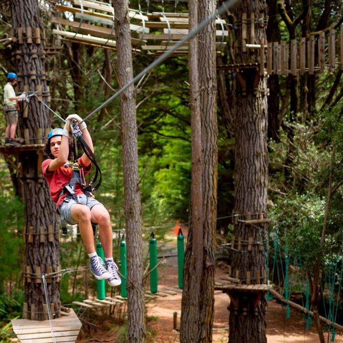 Treetops Adventure Hollybank Zipline Tour