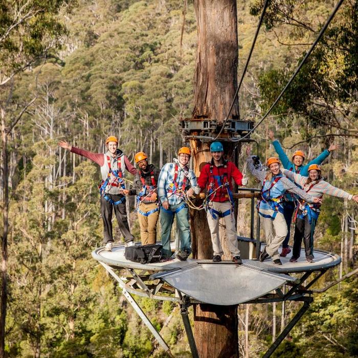 Treetops Adventure Hollybank Zipline Tour