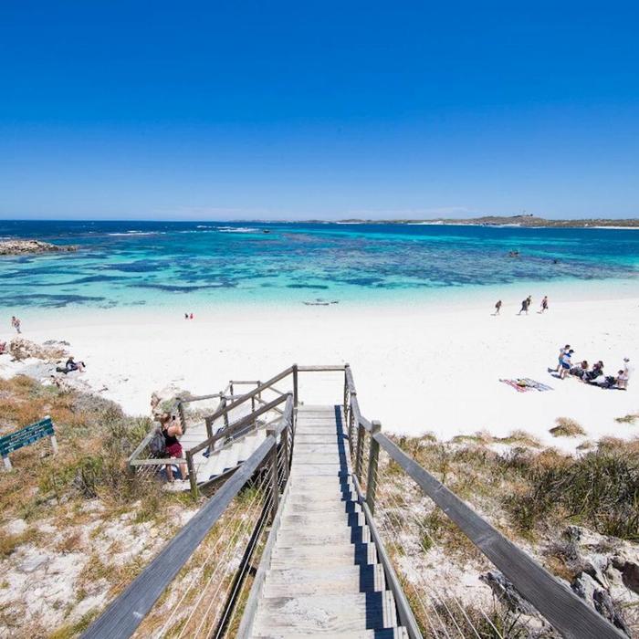 Sealink WA Rottnest Bayseeker Package (11:15am)
