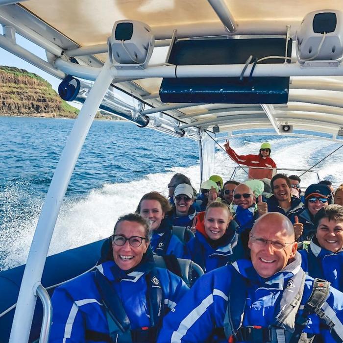 Out Of The Blue Adventures Whale Watching - Ballina Departure