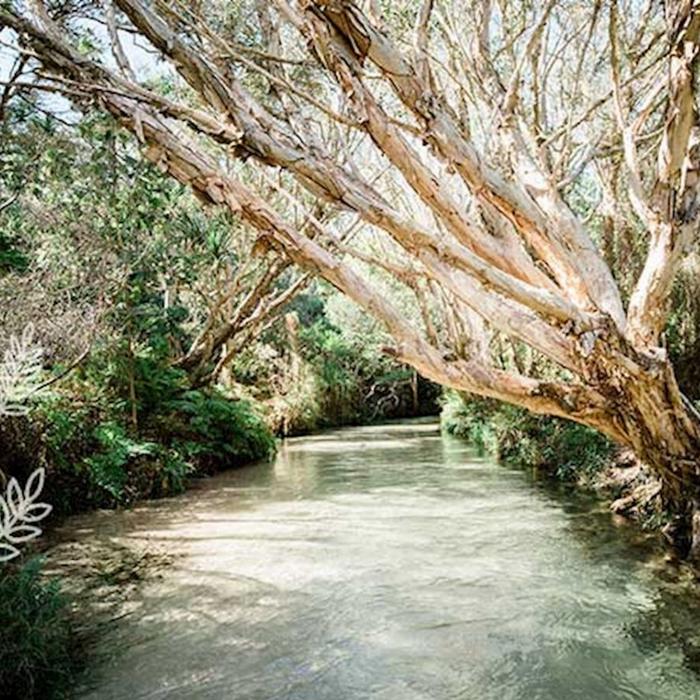 K'gari Explorer Tours K'gari Overnight Tour (ex Hervey Bay) - Private Single