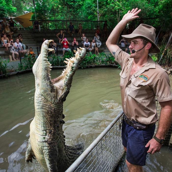 Down Under Tours Kuranda, Scenic Rail, Skyrail, Hartley's Crocodile Adventures & Cairns Transfers