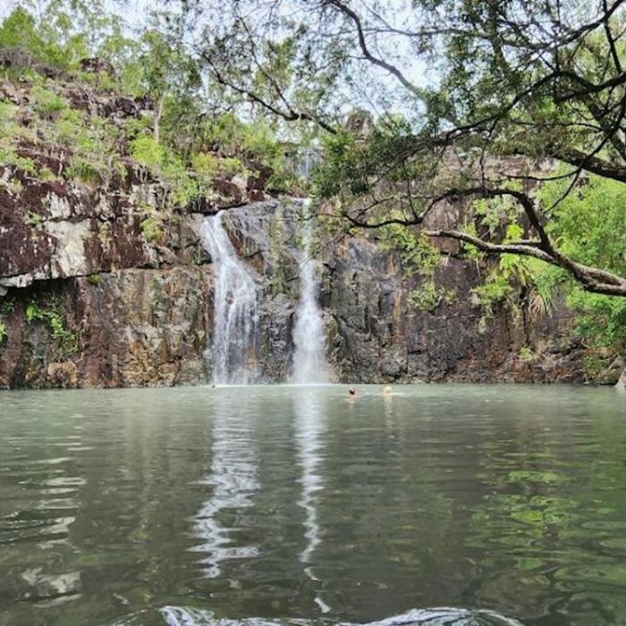 Driftwood Tours Rainforest Bushwalk & Waterfalls