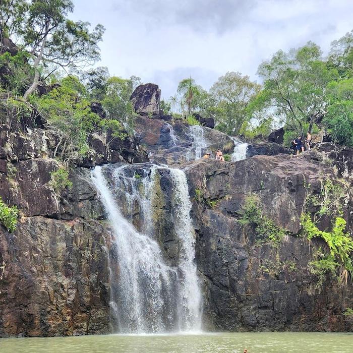 Driftwood Tours Rainforest Bushwalk & Waterfalls