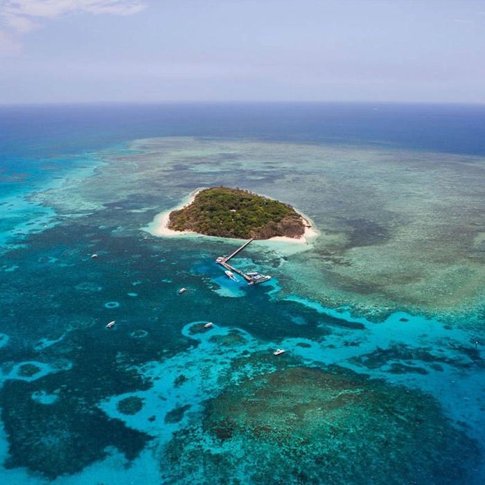 Zoom Helicopters 40 Minute Reef Scenic - Outer Reef Odyssey