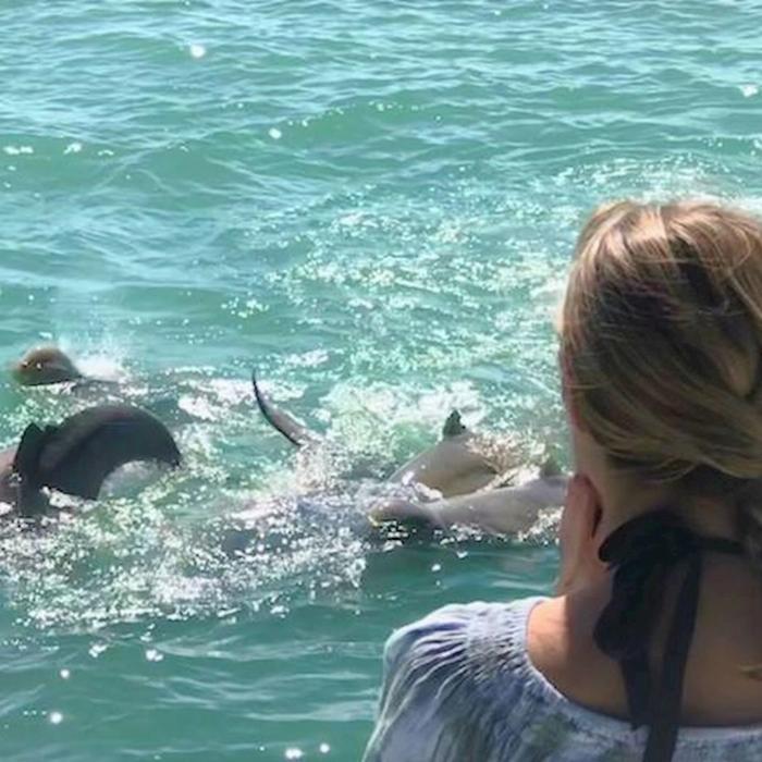 Broome Whale Watching Snubfin Dolphin Cruises