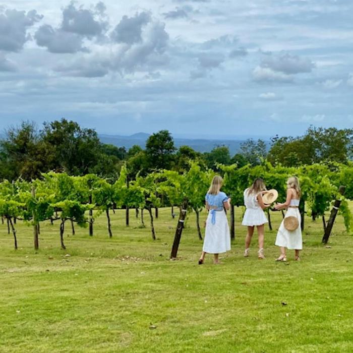 Creative Tours Hinterland Cheese & Wine Tour