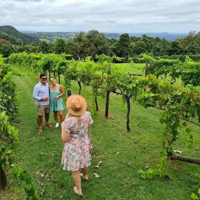 Creative Tours Hinterland Cheese & Wine Tour