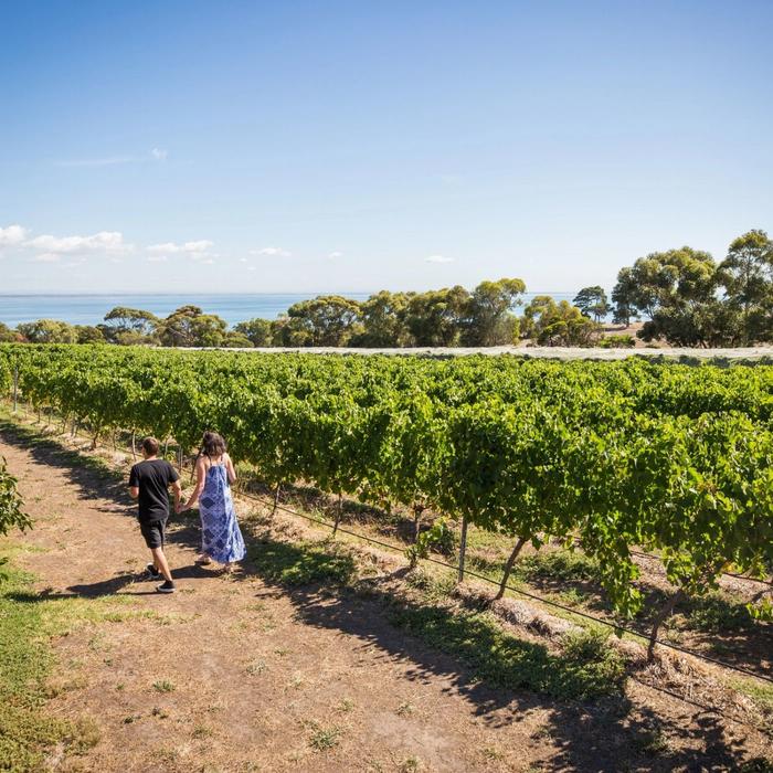 Hop It Blue Route - The Bellarine (Region Pick Up + return)