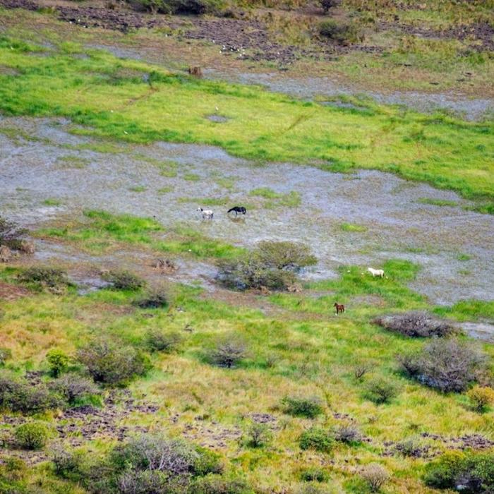 Kakadu Air Cooinda -Scenic Flight - 60 Minute