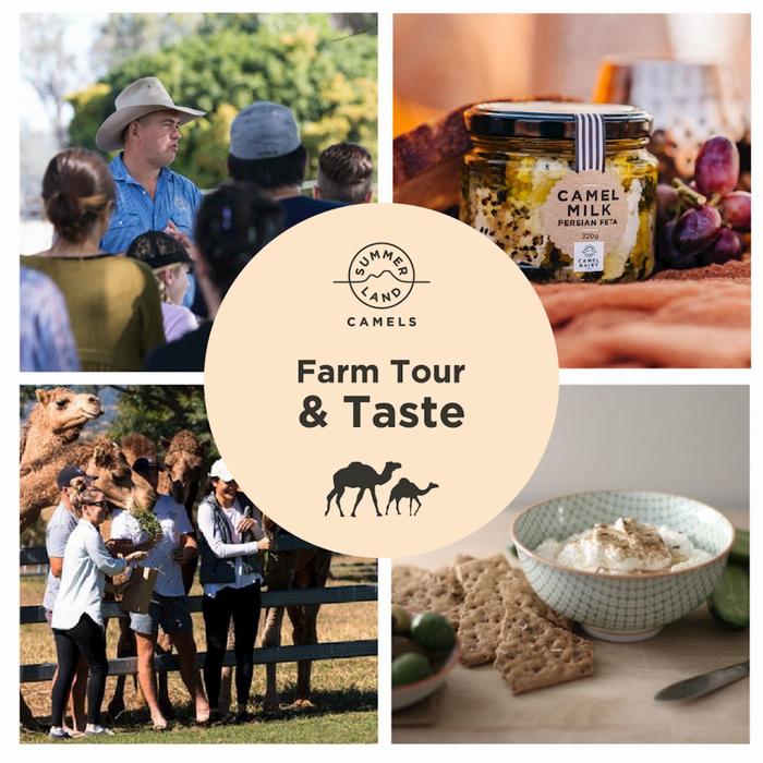 Summer Land Camels Farm Tour and Taste
