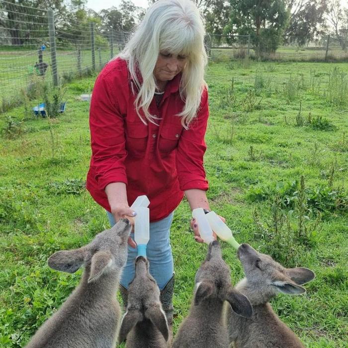 Coonawarra Experiences Caves, Cabernet & Kangaroos