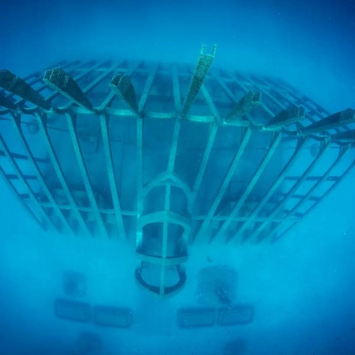 Adrenalin Dive Great Barrier Reef Day Trip inc. MOUA (Snorkeling)