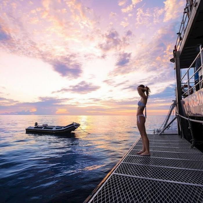 Divers Den OceanQuest 1-Night Liveaboard