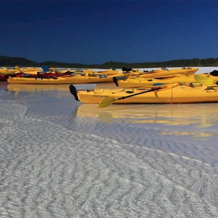 Salty Dog Sea Kayaking Half Day Inner Islands Turtle Tour