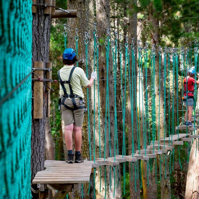 Treetops Adventure Hollybank Treeropes Course