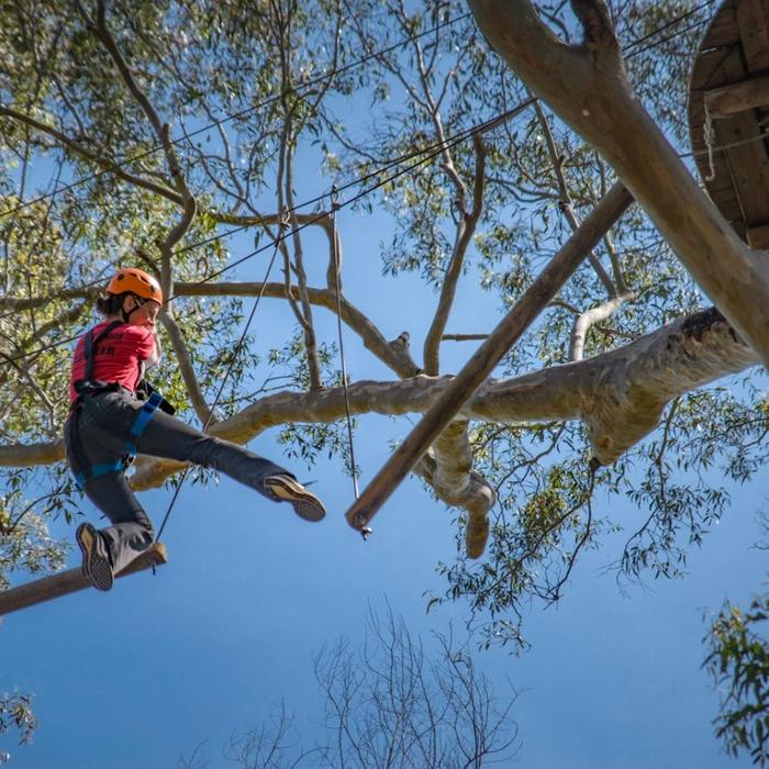Treetops Adventure Western Sydney Tree Ropes Course
