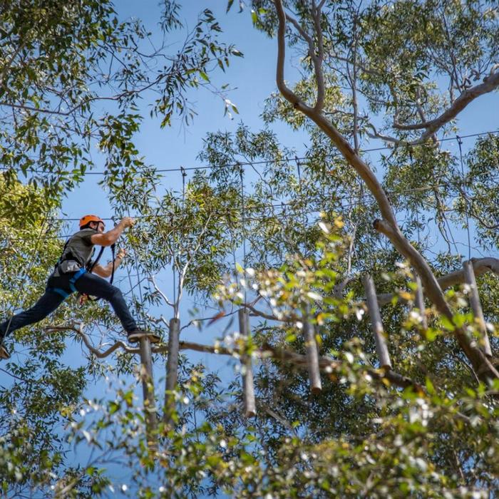 Treetops Adventure Western Sydney Tree Ropes Course