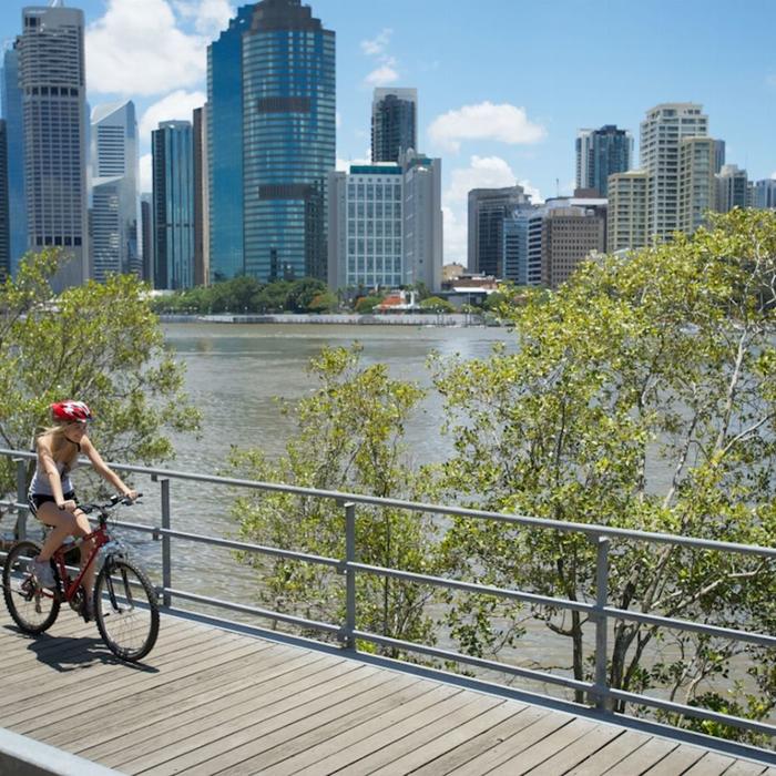 Riverlife Full Day Bike Hire - Large Bike