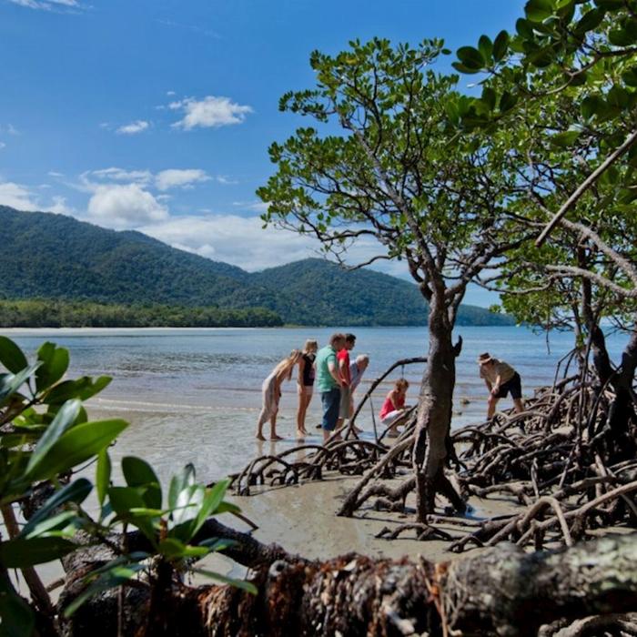 Down Under Tours Cape Tribulation, Daintree & Mosman Gorge + Lunch