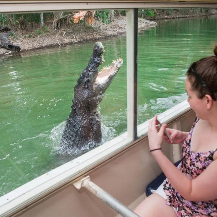 Down Under Tours Hartley's Crocodile Adventures Half-Day Tour from Cairns