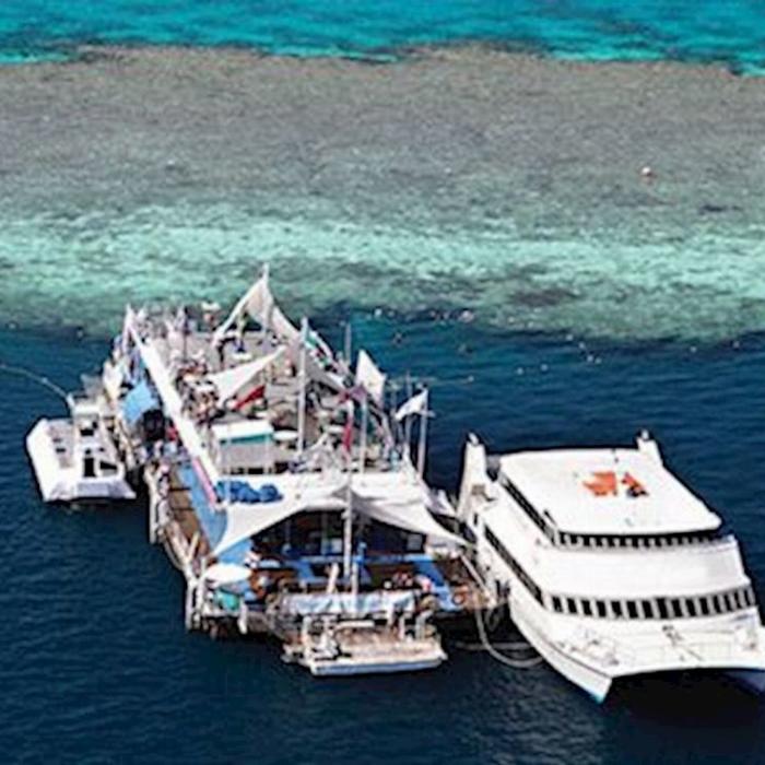 HeliReef Whitsunday Reef Discovery Fly Both Ways