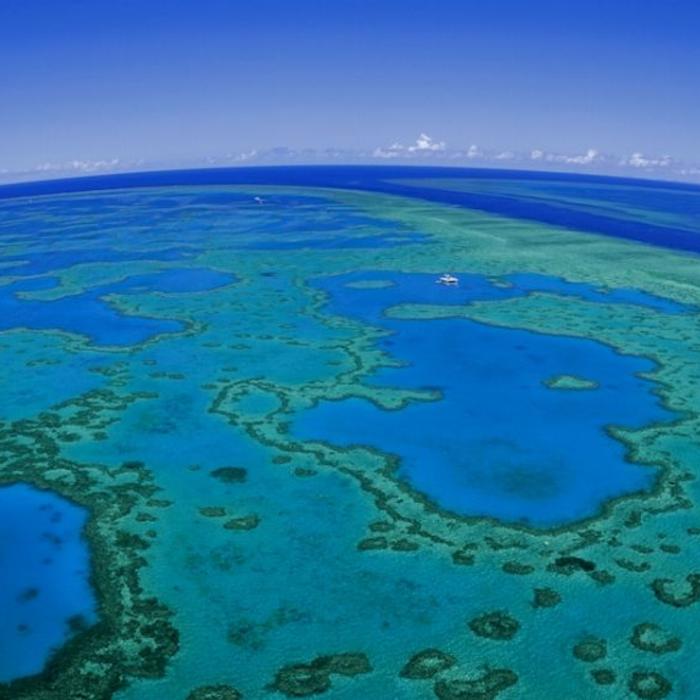 HeliReef Whitsunday Heart Reef Escapade