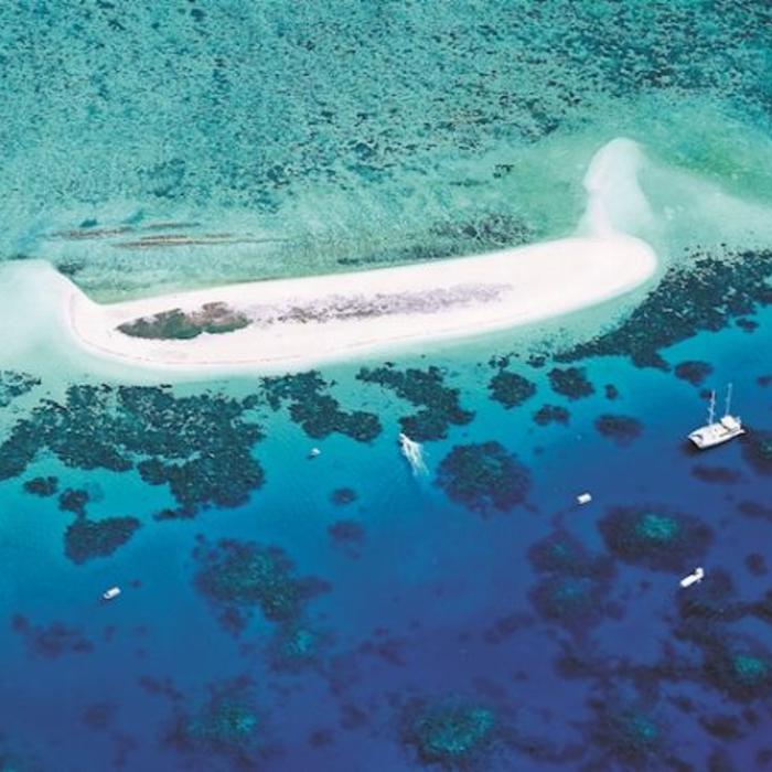 Ocean Spirit Cruises Ocean Spirit Michaelmas Cay Day Trip Snorkel (Per Person Family Rate)