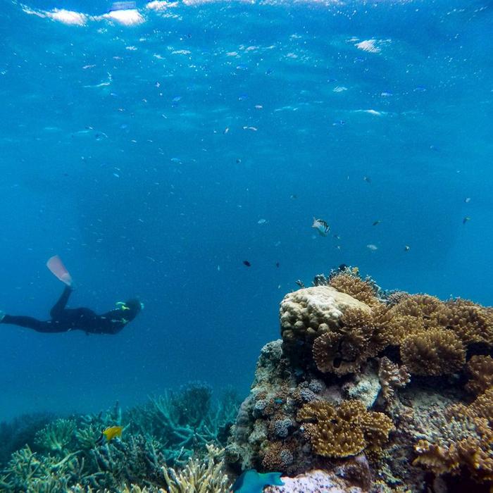 Great Adventures Moore Reef Pontoon Day Tour (Family Rate)
