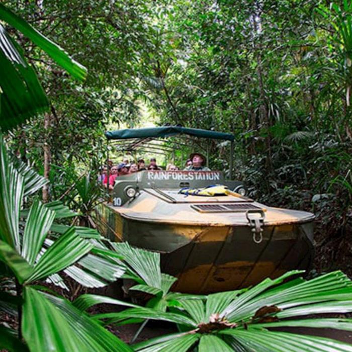 Entry to all Parks (Rainforestation Nature Park, Australian Butterfly Sanctuary, Wildlife Habitat, Cairns Koalas & Creatures).