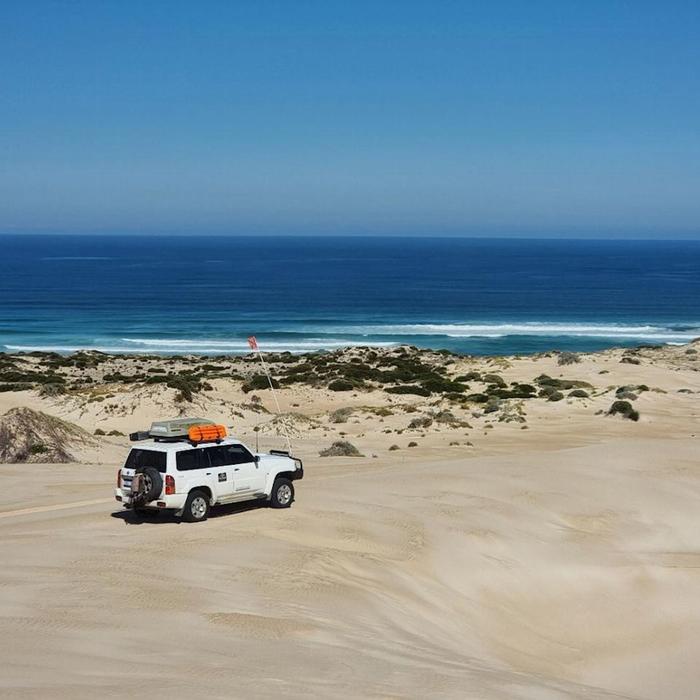 Tour South Coffin Bay National Park Sightseeing & Off-road Tour