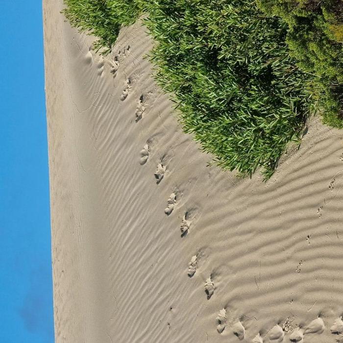 Tour South Port Lincoln National Park Sightseeing & Off-road Tour
