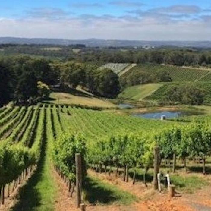 Hills Luxury Day Tours Adelaide Hills Divine Wine Tour