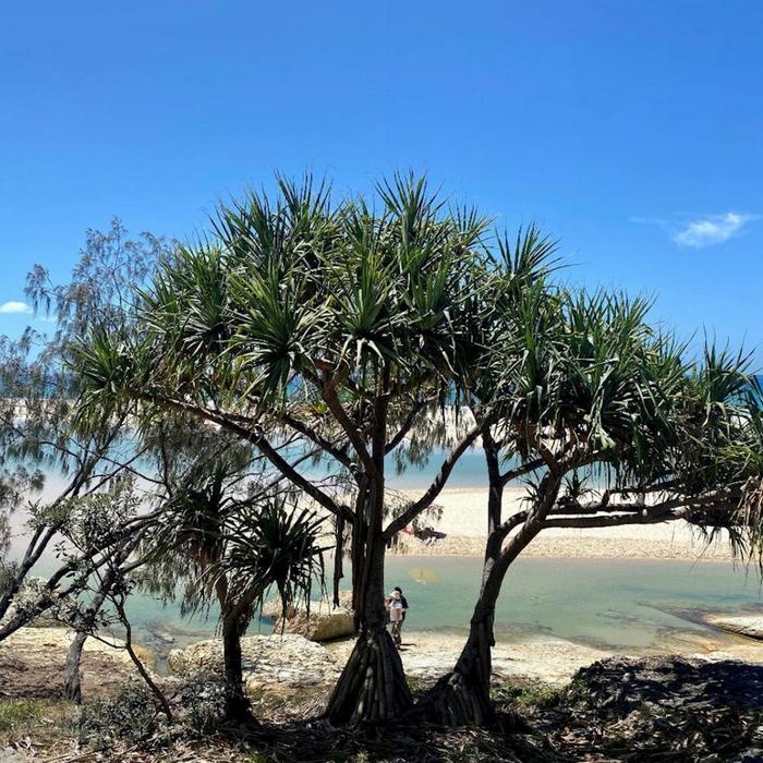 Hit The Road Tours North Stradbroke Island SUNSET Small Groups Tour from Brisbane