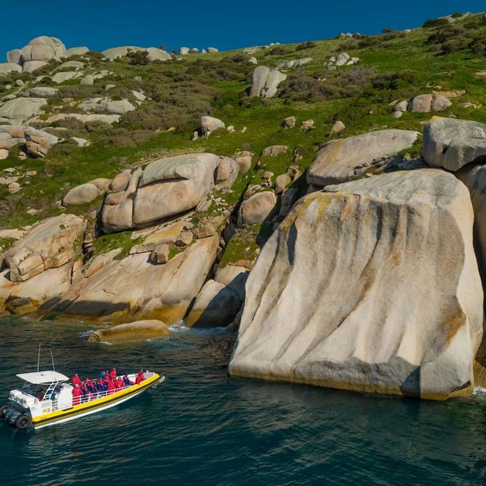 Wanderer Adventures Wilsons Promontory Wilderness Cruise 11am