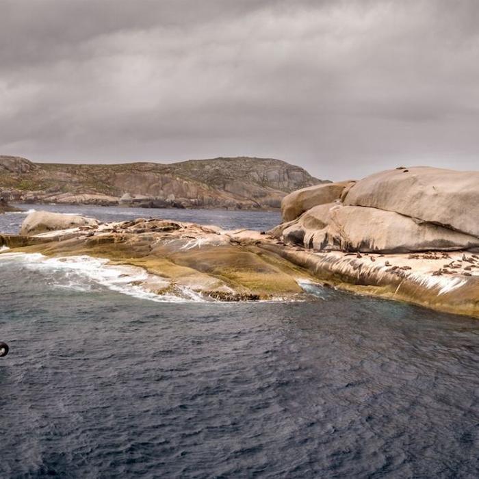 Wanderer Adventures Wilsons Promontory Wilderness Cruise 11am