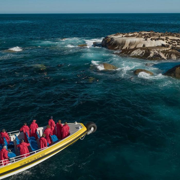 Wanderer Adventures Wilsons Promontory Wilderness Cruise 11am