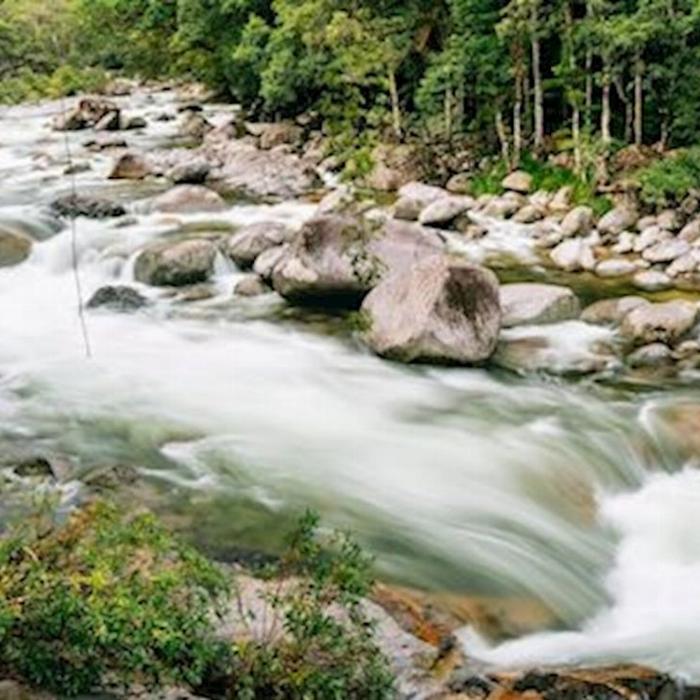 Daintree Experience Beauty Valley Waterfall Wonderland Walk, Magical Swim and Gourmet Lunch