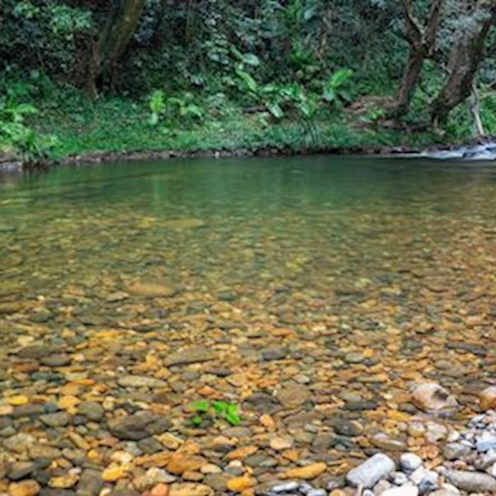 Daintree Experience Beauty Valley Waterfall Wonderland Walk, Magical Swim and Gourmet Lunch