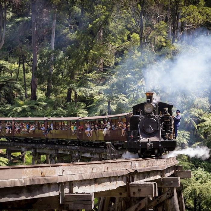 Explore Australia Puffing Billy & Wildlife Tour