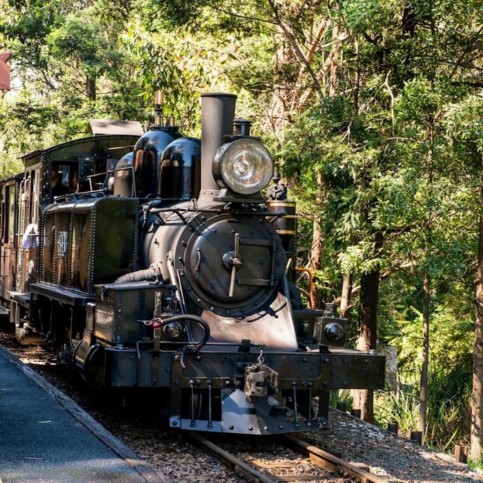 Explore Australia Puffing Billy & Wildlife Tour