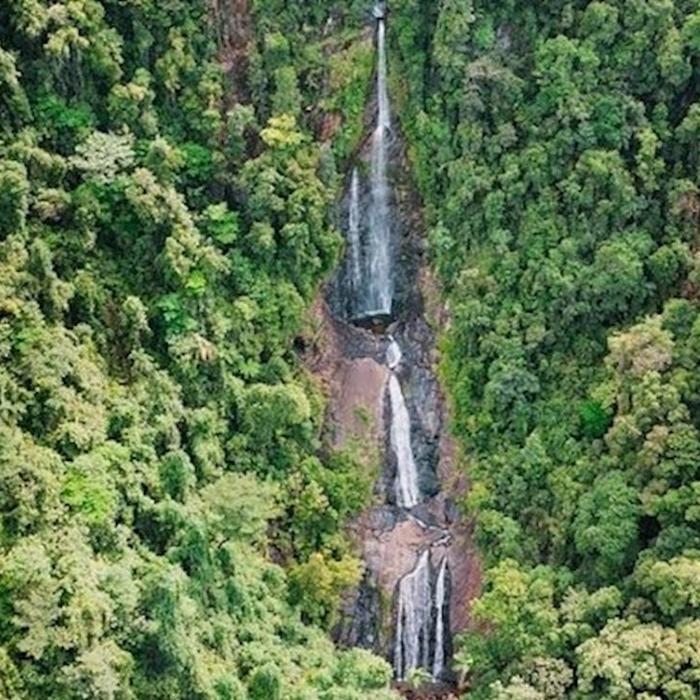 Daintree Experience Group of 4+ Rate: Beauty Valley Waterfall Wonderland Walk, Magical Swim and Gourmet Lunch